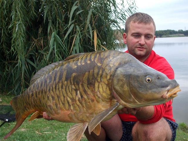 diverse - vladut-mateianu.jpg